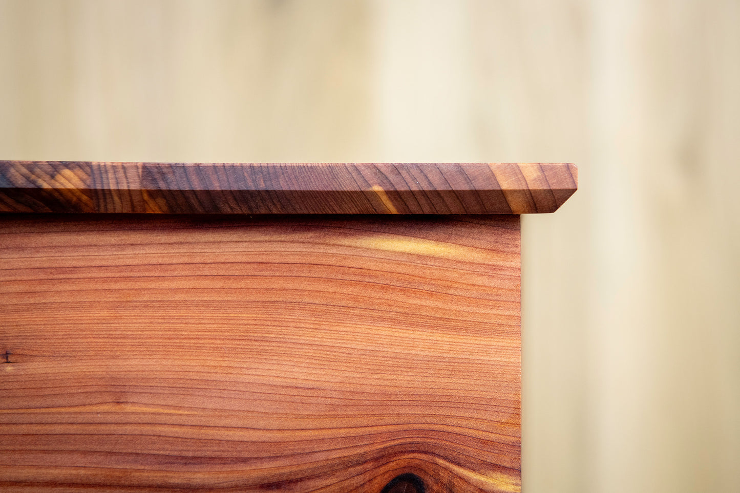 Cedar Cremation Urn in Candor Style, Companion Size